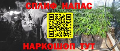 хмурый Бердск