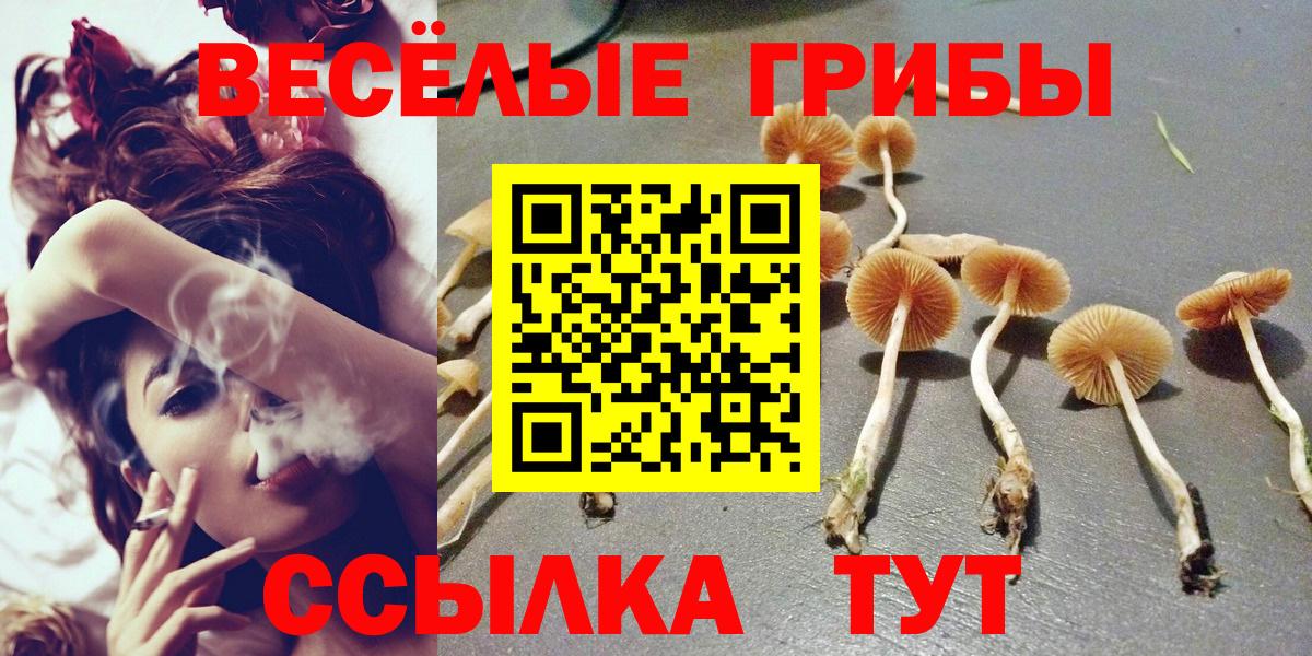 Галлюциногенные грибы GOLDEN TEACHER Ачинск